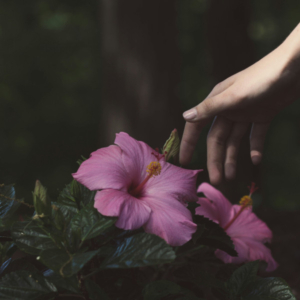 cameron-ahlvers-IUPwtchNpPU-unsplash