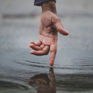 nick-moore-66aKwlV815c-unsplash - kopie